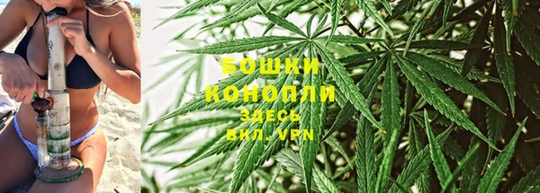 не бодяженный Гусь-Хрустальный