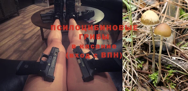 не бодяженный Гусь-Хрустальный