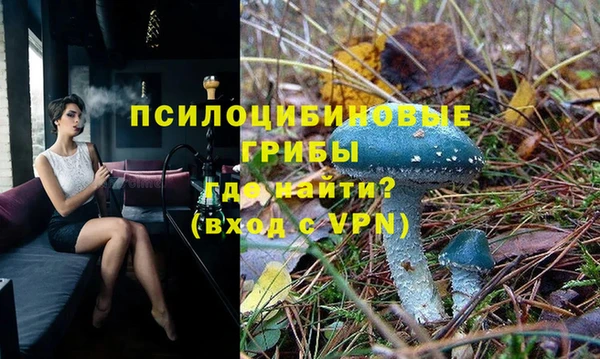 экстази Гусиноозёрск