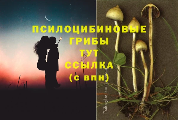 mdpv Гусев