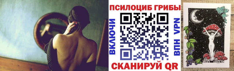Галлюциногенные грибы Magic Shrooms  Новая Ладога 